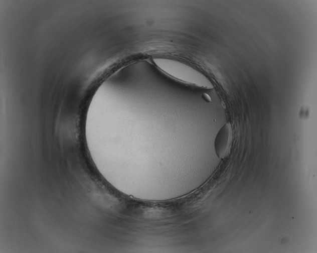 X0000091860400200710031706