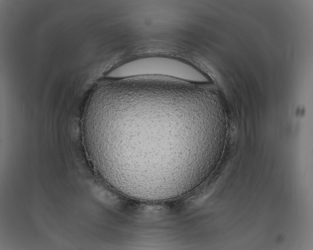 X0000091860401200710031705