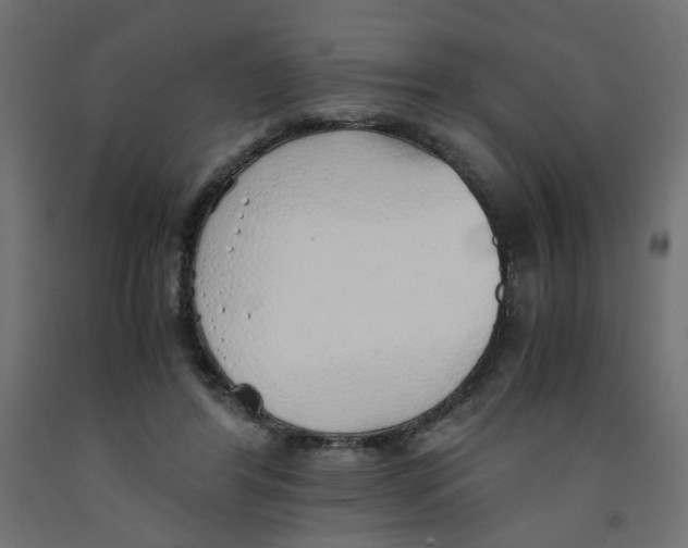 X0000091860404200710031705