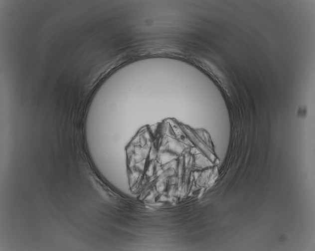 X0000091860405200710031705