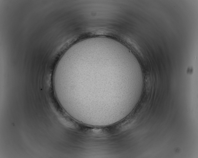 X0000091860406200710031705