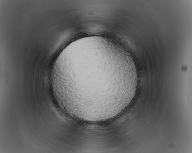 X0000091860408200710031705