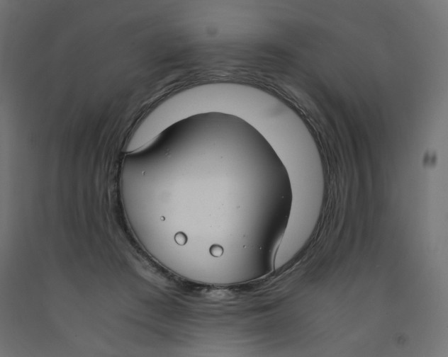 X0000091860409200710031705