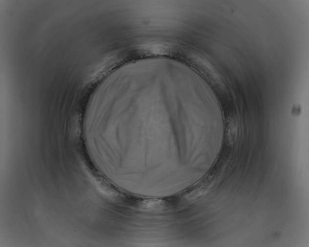 X0000091860410200710031705