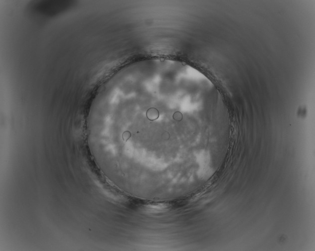 X0000091860411200710031705