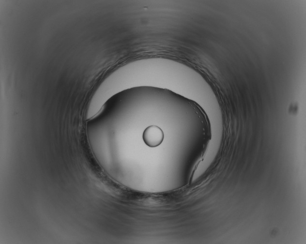 X0000091860412200710031705