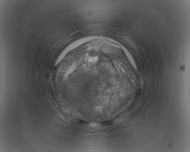 X0000091860413200710031705