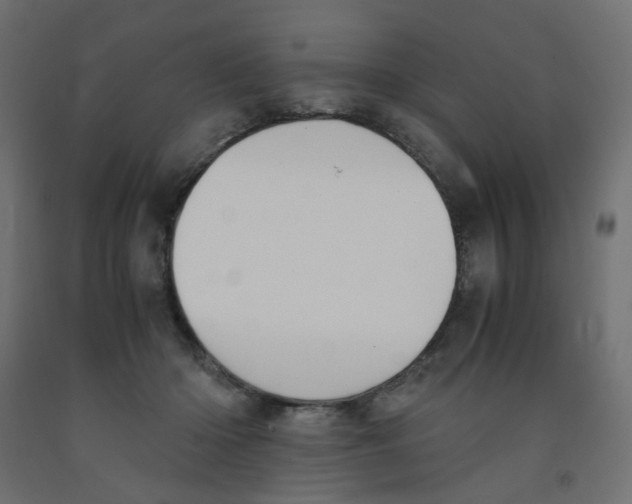 X0000091860414200710031705