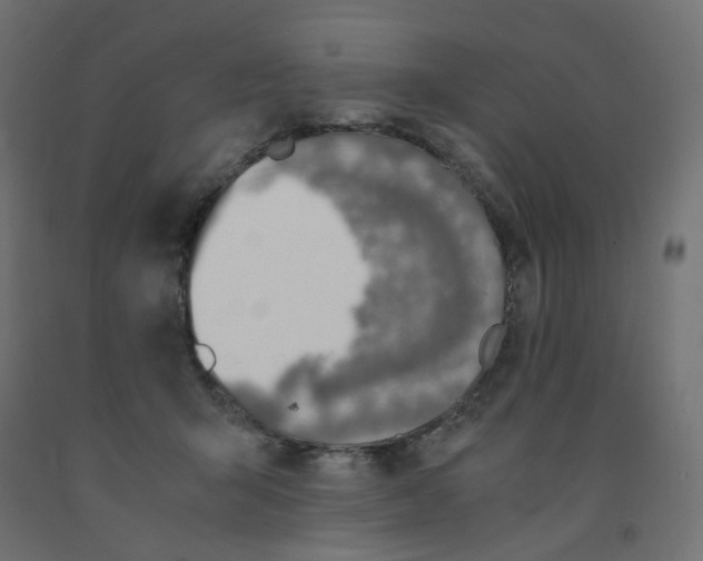 X0000091860415200710031705