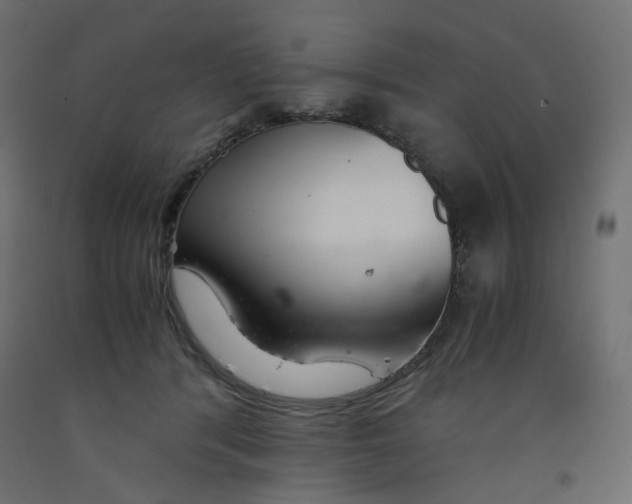 X0000091860416200710031705