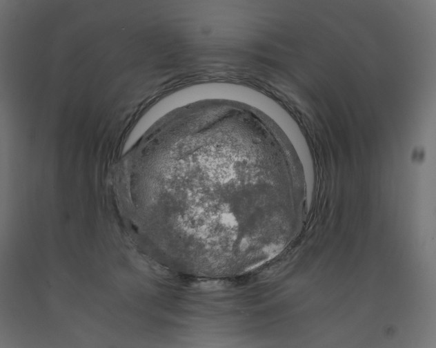 X0000091860417200710031705