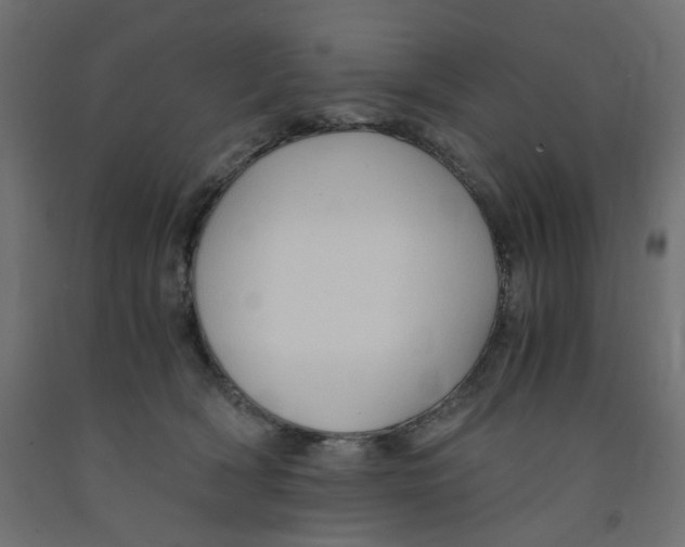 X0000091860418200710031705