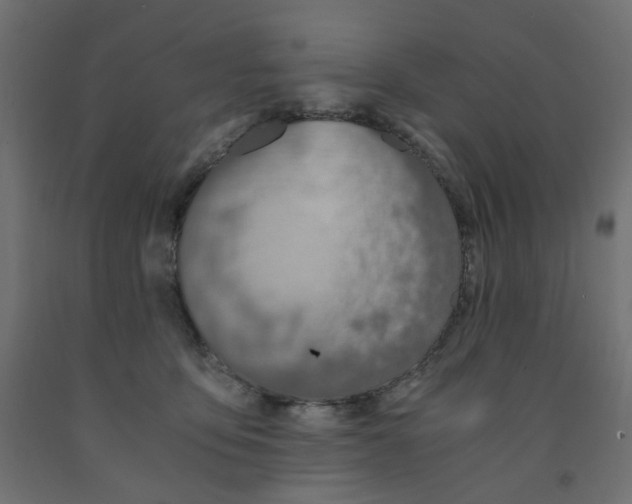 X0000091860419200710031705