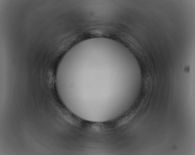 X0000091860420200710031705