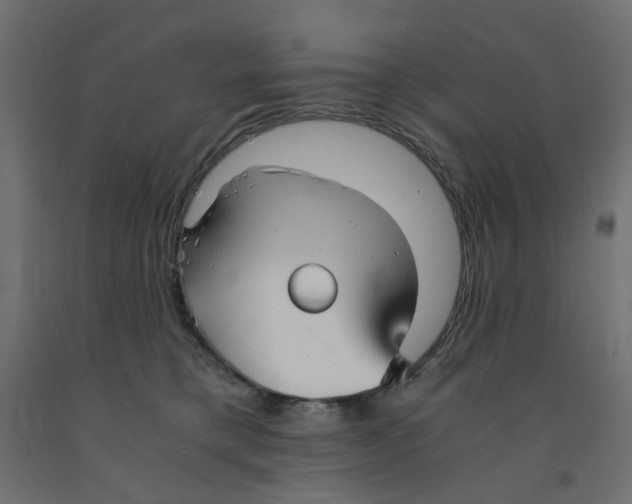 X0000091860421200710031705