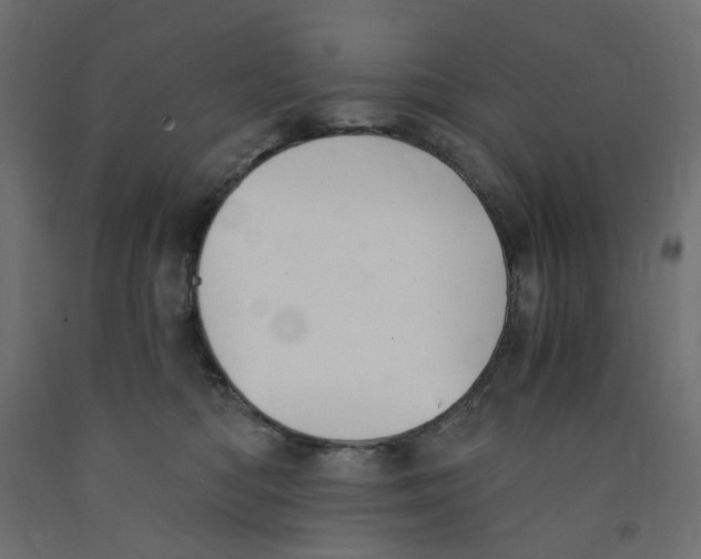 X0000091860422200710031705