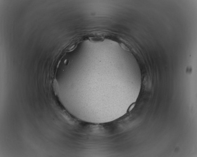 X0000091860424200710031705