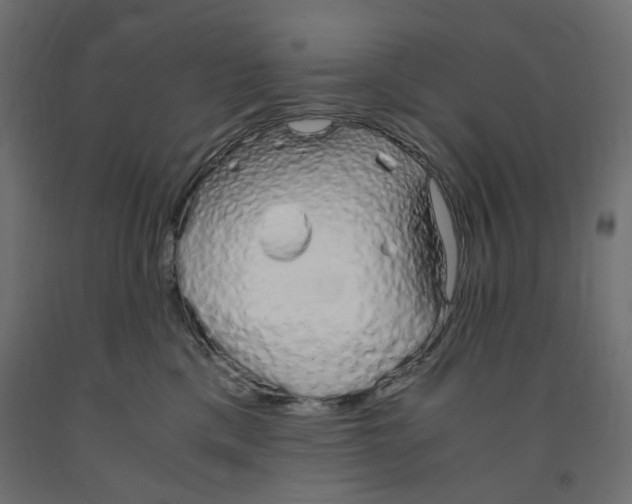 X0000091860425200710031705