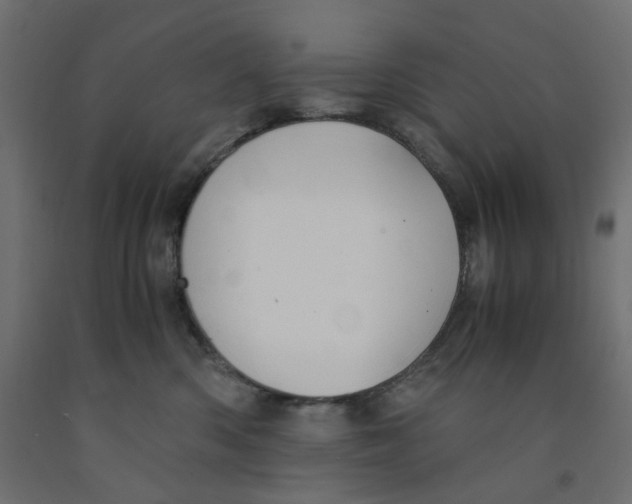 X0000091860426200710031705