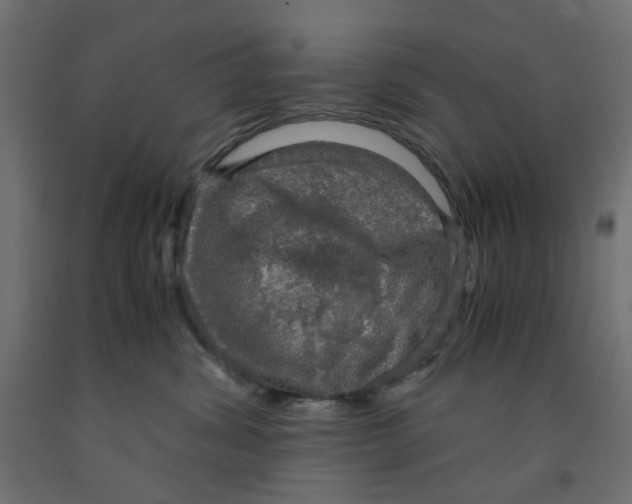 X0000091860428200710031705