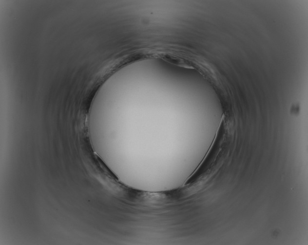 X0000091860429200710031705