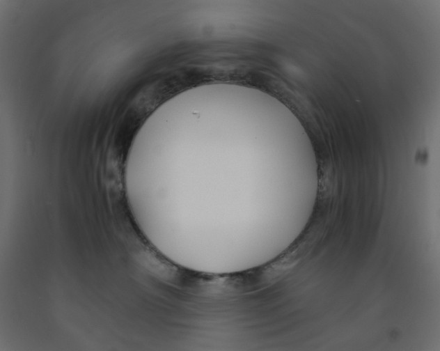 X0000091860430200710031705