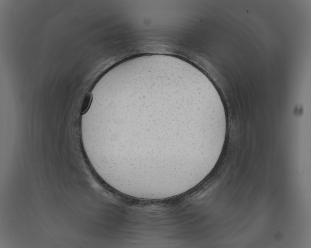 X0000091860433200710031704