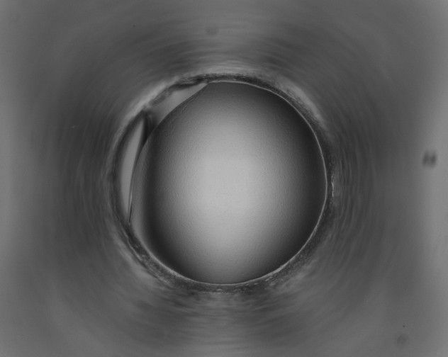 X0000091860436200710031704