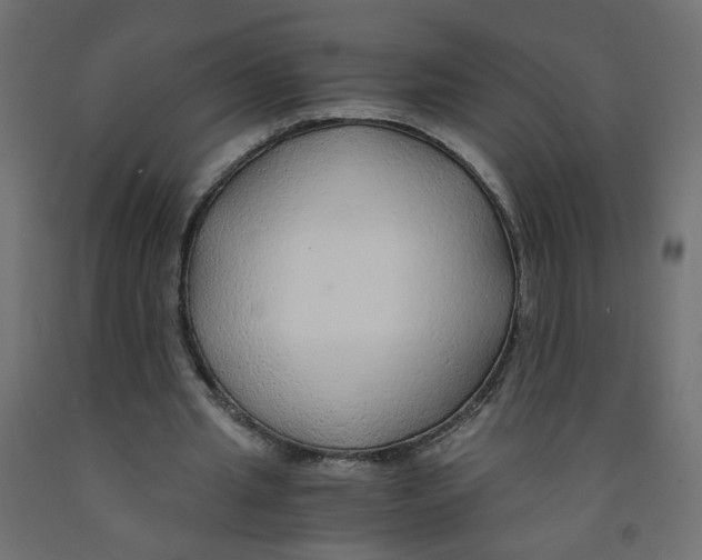 X0000091860437200710031704