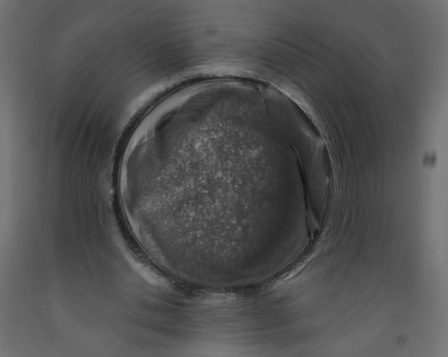 X0000091860438200710031704