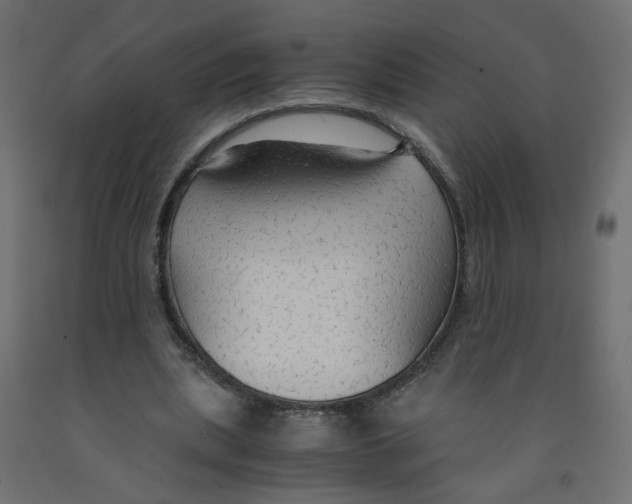 X0000091860439200710031704