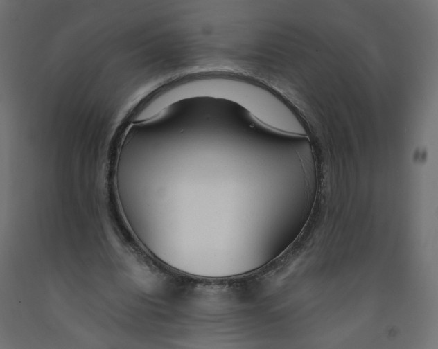 X0000091860440200710031704