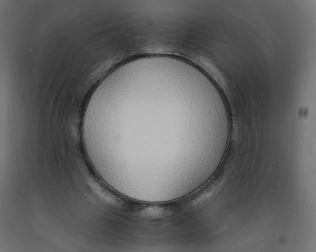 X0000091860441200710031704