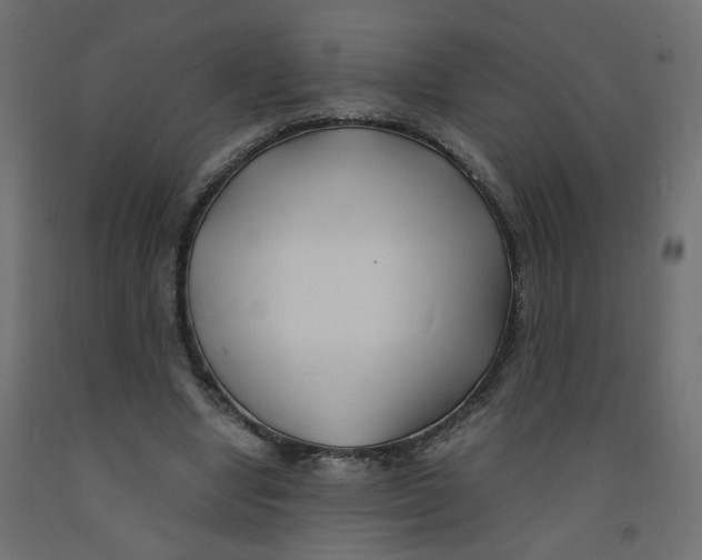 X0000091860442200710031704