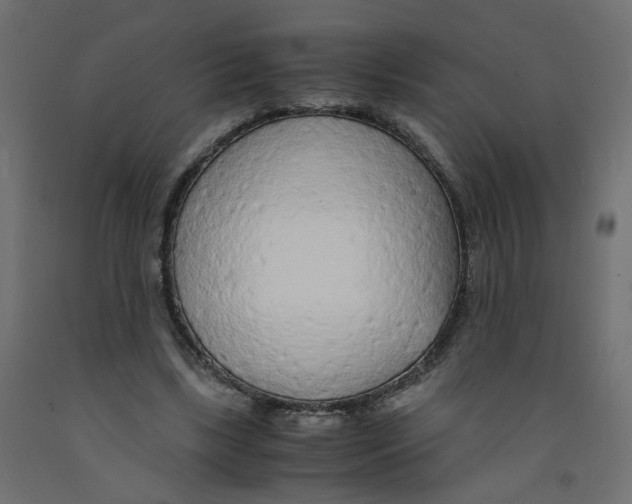 X0000091860443200710031704