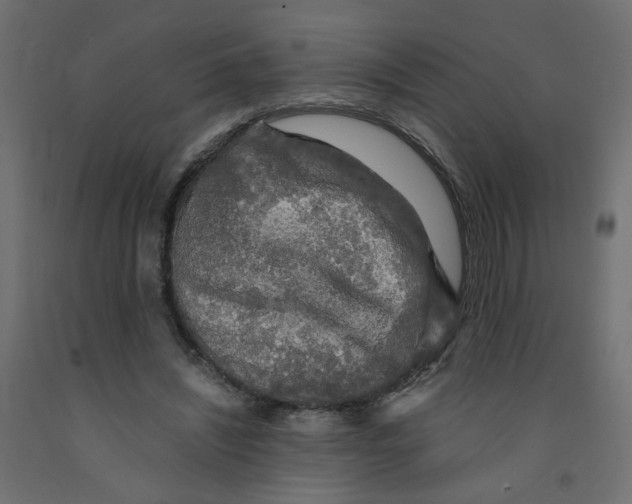 X0000091860444200710031704