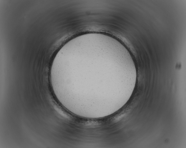 X0000091860445200710031704