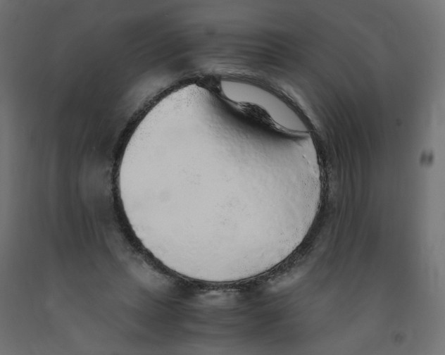 X0000091860447200710031705