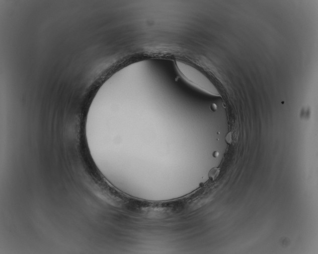 X0000091860448200710031705