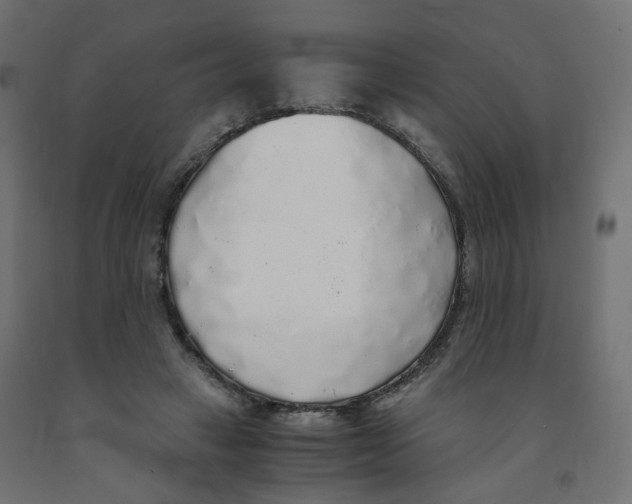 X0000091860449200710031705