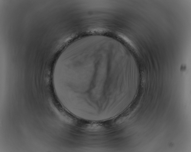 X0000091860451200710031705