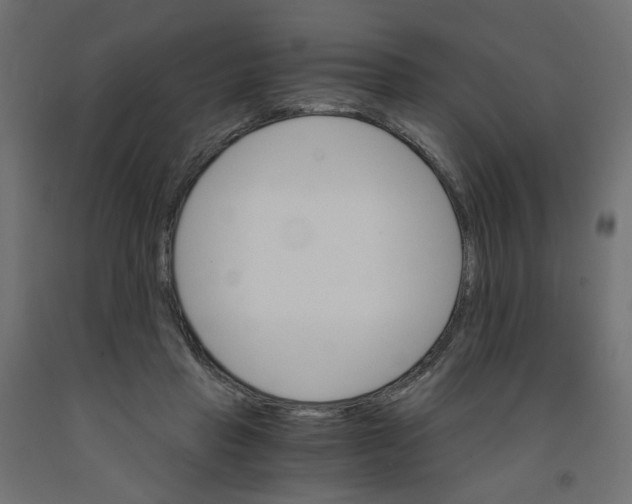 X0000091860453200710031705