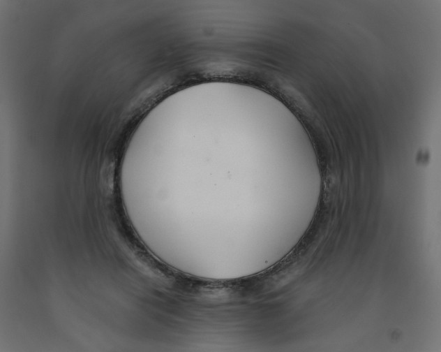 X0000091860454200710031705