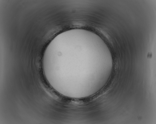 X0000091860455200710031705