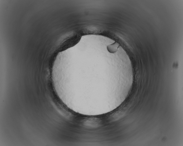 X0000091860459200710031705