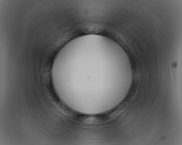 X0000091860460200710031705