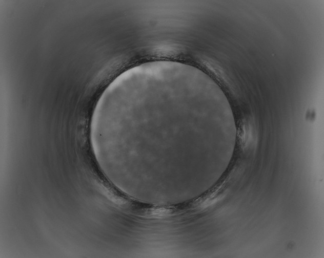 X0000091860462200710031705