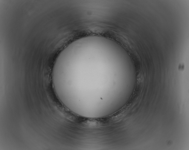 X0000091860464200710031705