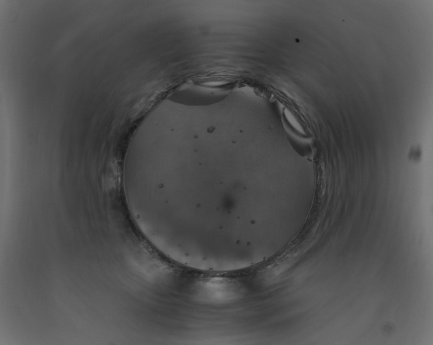 X0000091860467200710031705