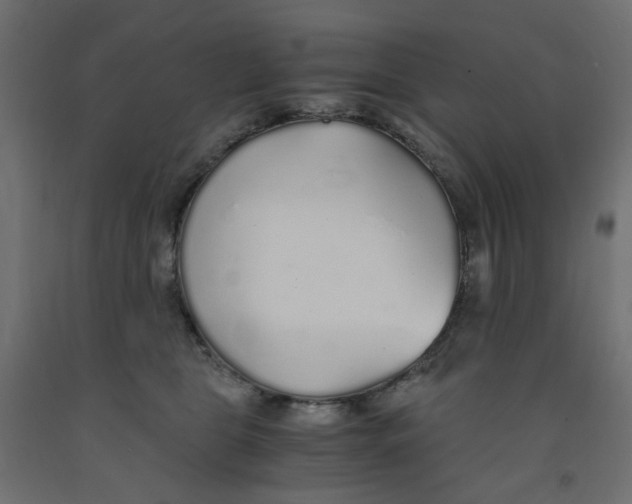 X0000091860469200710031705